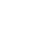 DIGIMERSE
